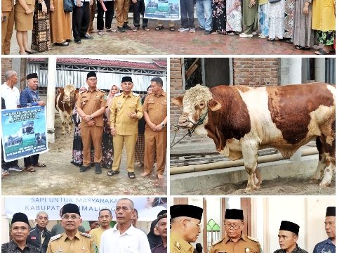 Bupati Simalungun Serahkan Sapi Kurban Bantuan Presiden RI di Masjid Al-Aksho Gunung Malela