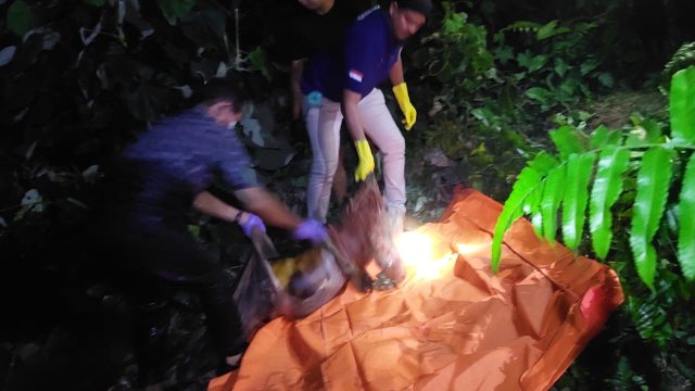 Mayat Perempuan Misterius Mengapung di Bah Bolon, Tim INAFIS Polres Simalungun Bergerak Cepat Ungkap Identitas Korban