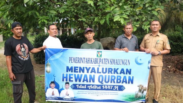 Pemkab Simalungun Serahkan Hewan Qurban Ke Pengurus Muhammadiyah Simalungun