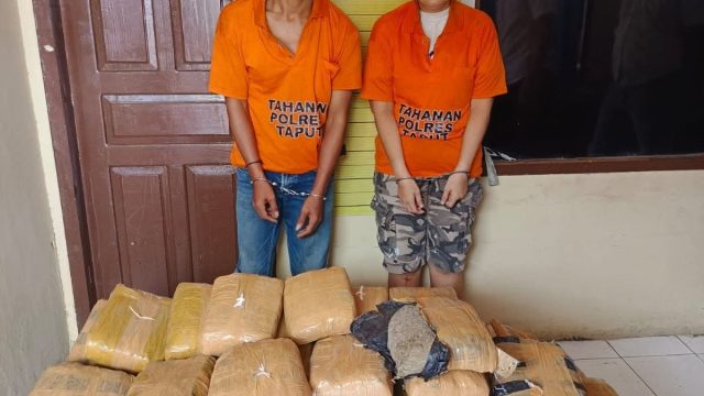 Mobil Tabrak Truk, 112 Paket Ganja Senilai Ratusan Juta Terbongkar di Taput