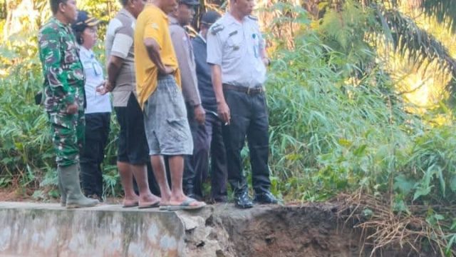Respons Cepat Camat Hutabayu Raja, Tinjau Longsor Saluran Irigasi Bah Tongguran III, Ratusan Hektare Sawah Terancam Kekeringan