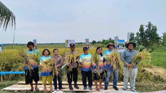 Panen Raya di Silakkidir, Camat Hutabayu Raja Dorong Peningkatan Produktivitas dan Kesejahteraan Petani