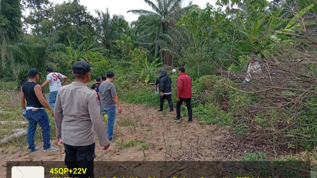 Fast Respon Resmob Polres Simalungun Turun Tangan, Usut Dugaan Pengrusakan Pohon di Perbatasan Lahan Warga