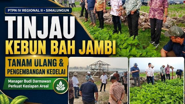 Region Head PTPN IV Regional II Tinjau Kebun Bah Jambi, Budi Darmawan Perkuat Kesiapan Tanam Ulang dan Ekspansi Kedelai