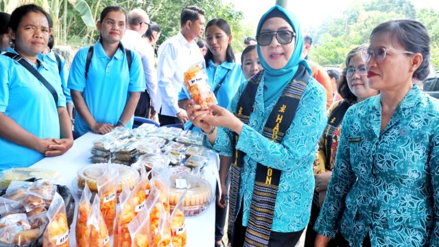 Bukan Sekadar Kejar Juara, TP PKK Simalungun Dorong PTP2WKSS Berdampak Nyata bagi Warga